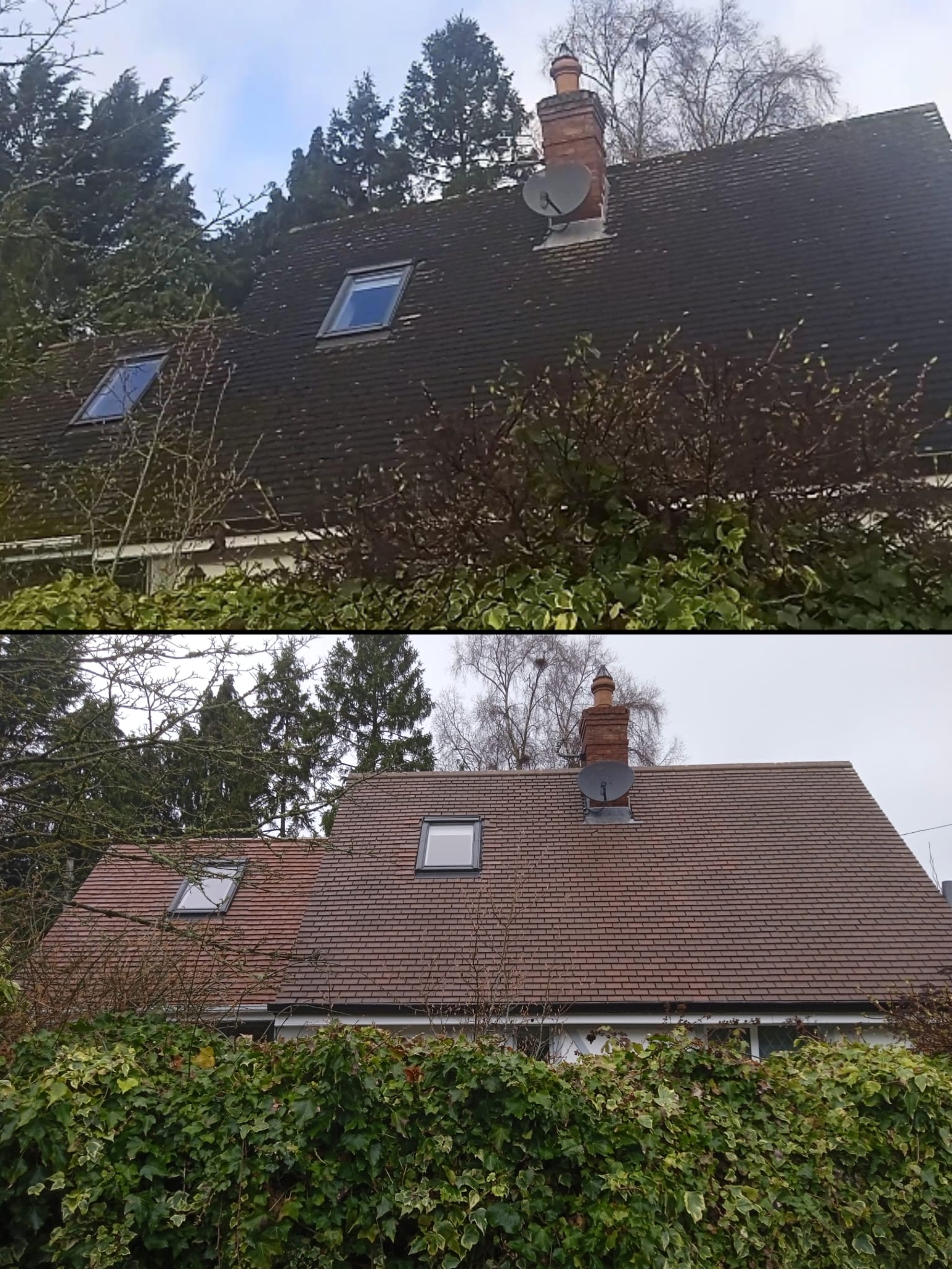 roof cleaning