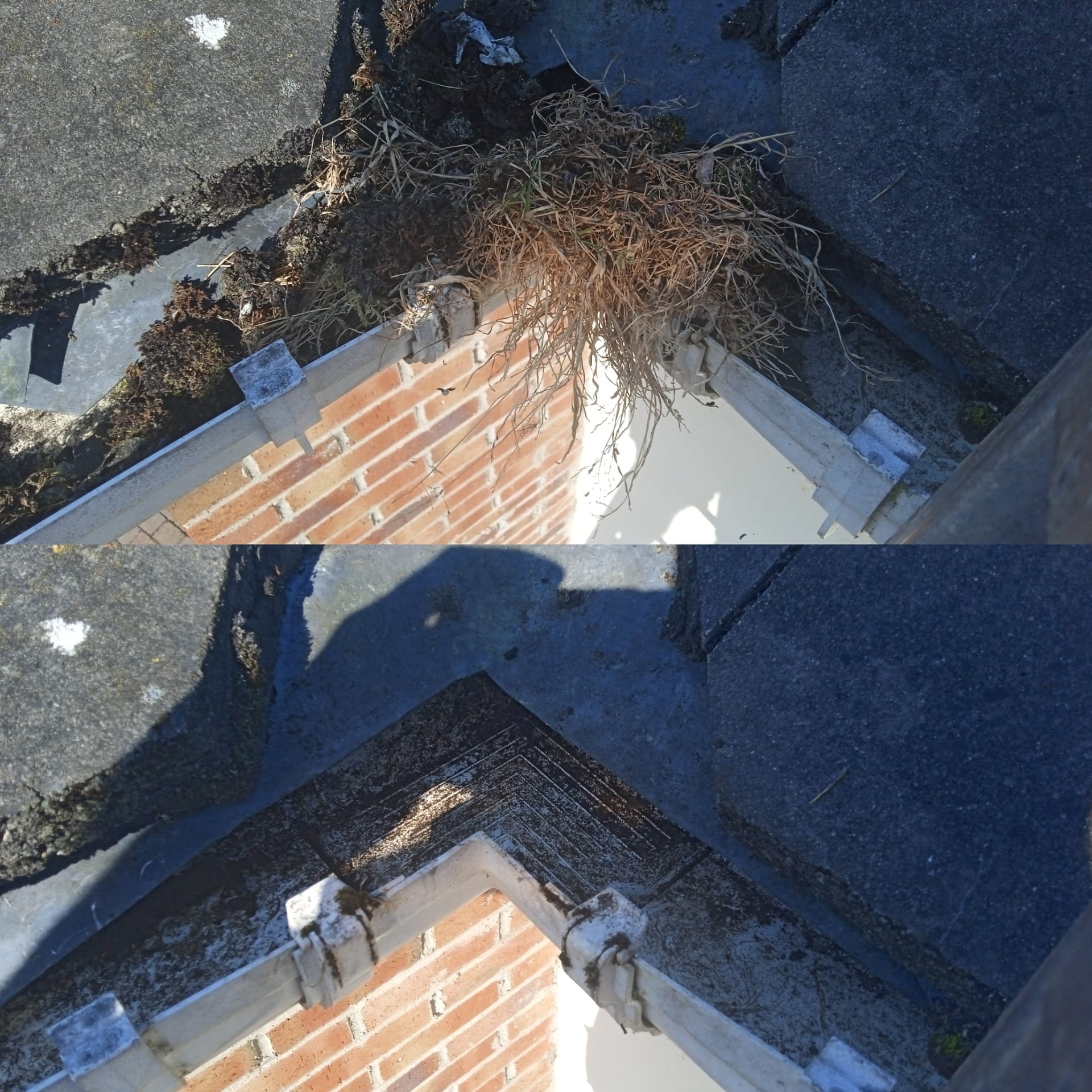 gutter cleaning