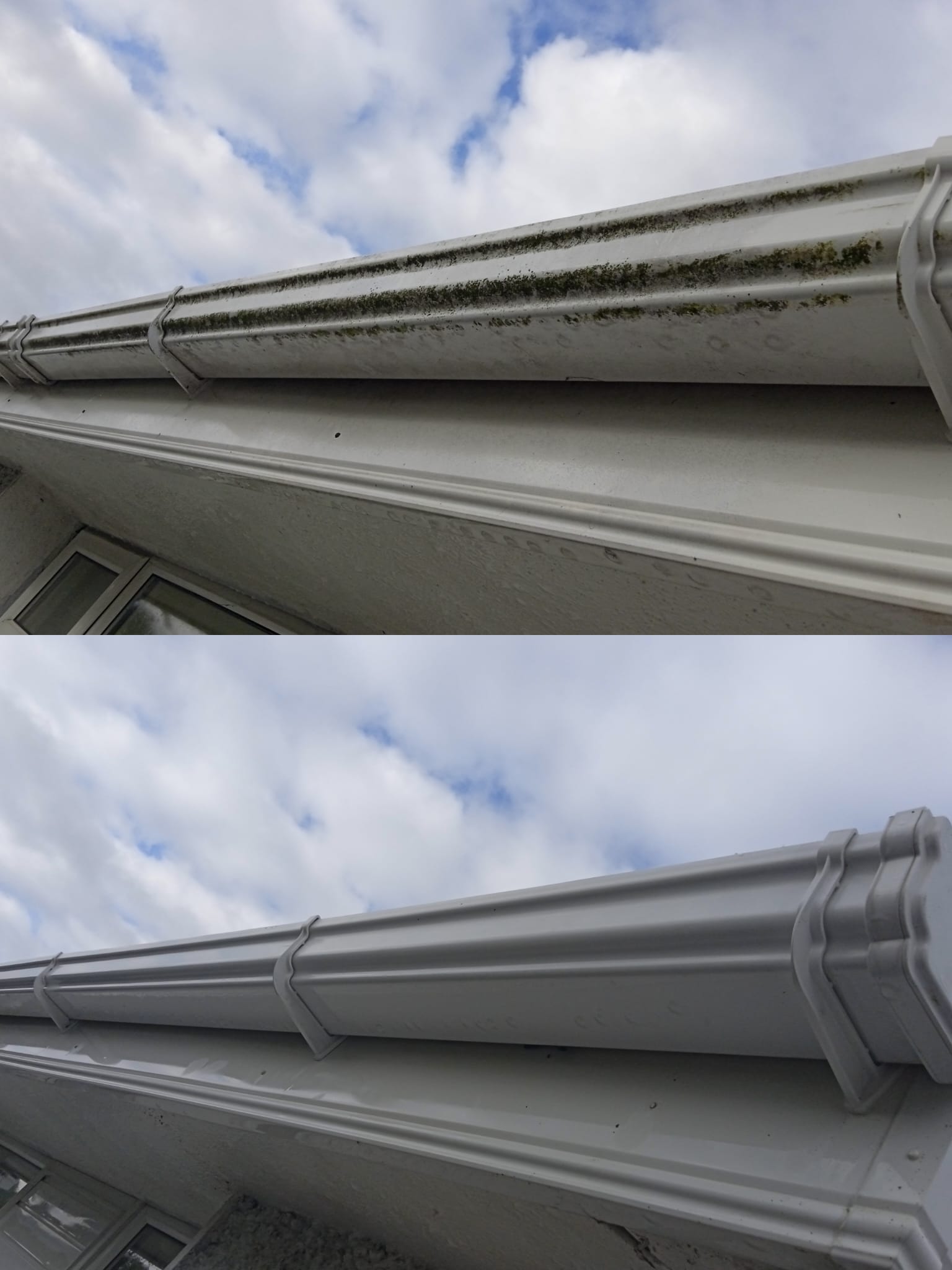 gutter cleaning